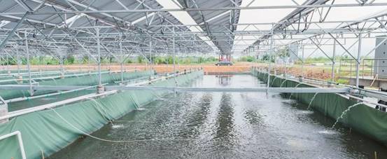 十大外围足球平台app