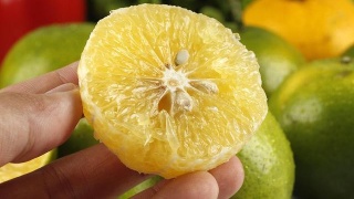 十大外围足球平台app