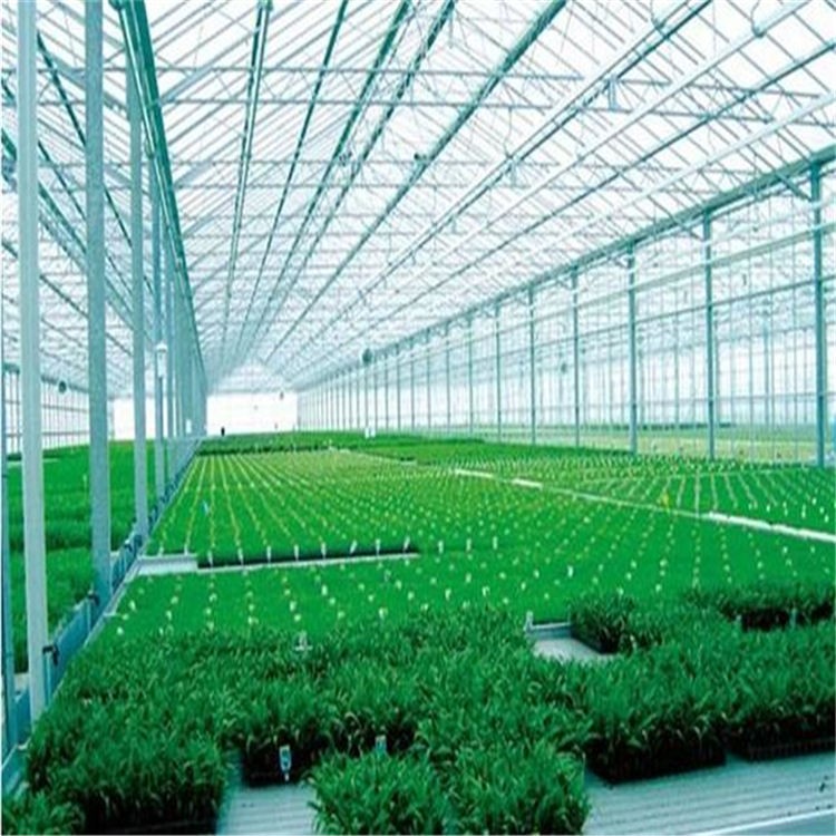 十大外围足球平台app