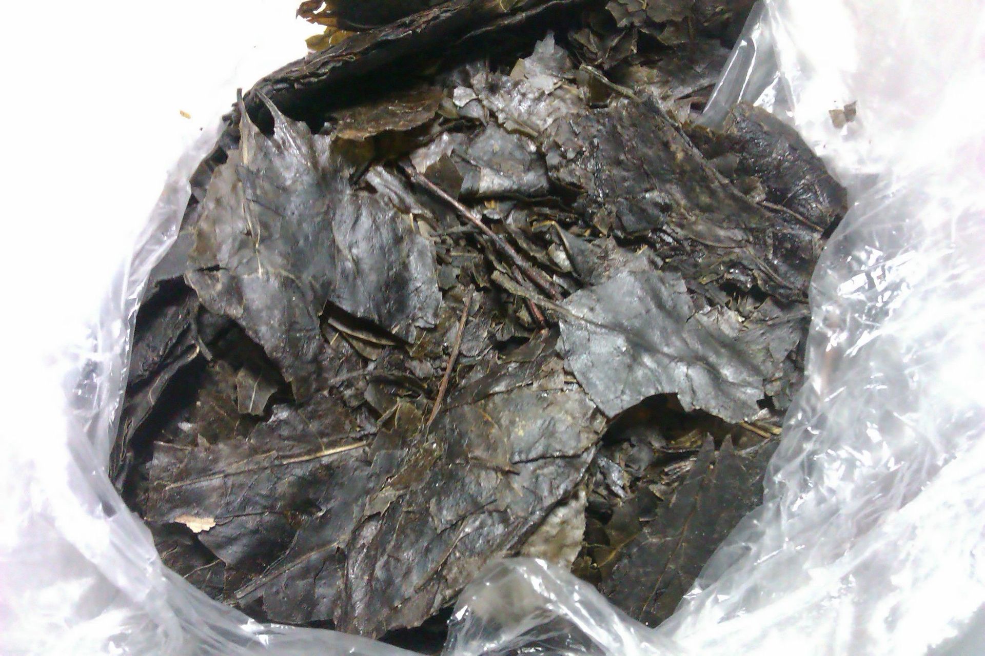 十大外围足球平台app