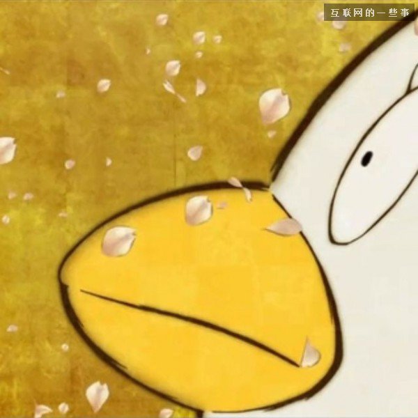 十大外围足球平台app