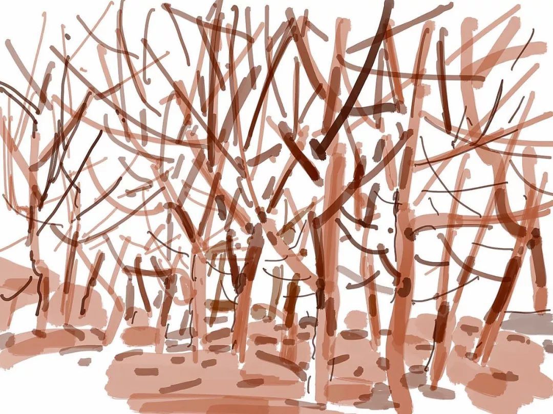 十大外围足球平台app