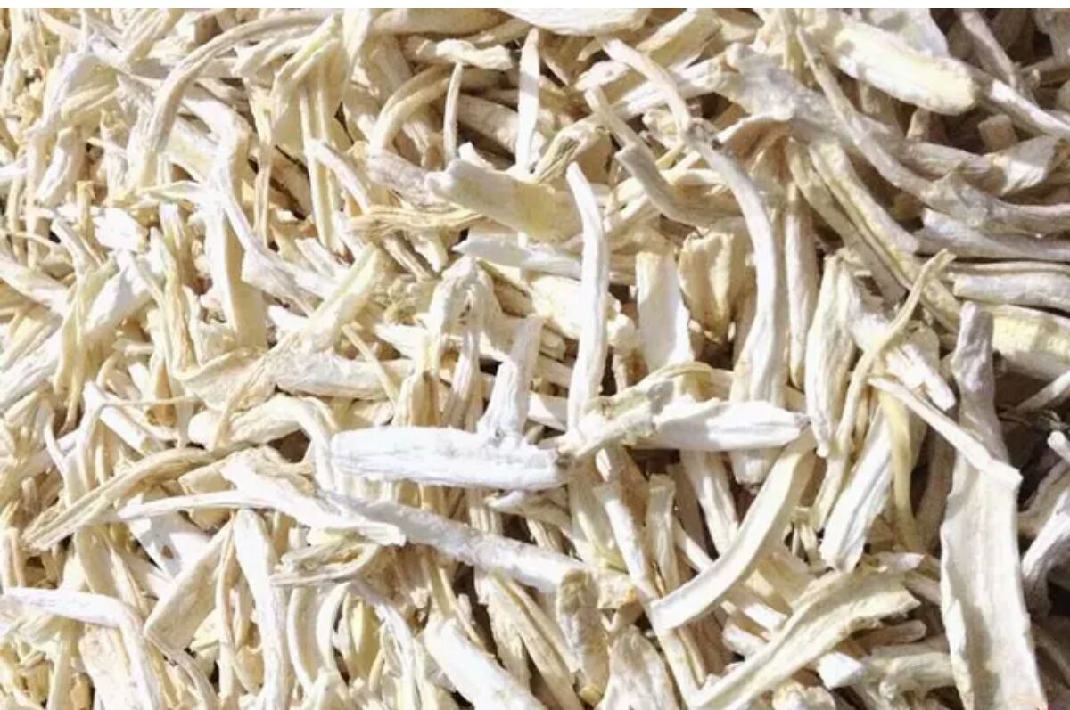 十大外围足球平台app