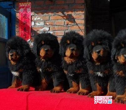 泰国职业教育校长团赴湖南高铁职院交流访问:十大外围足球平台app(图2) 十大外围足球平台app