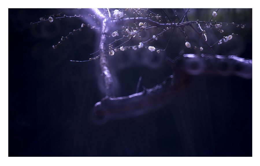 湖北省中华职业教育创新创业大赛启动_十大外围足球平台app(图1) 十大外围足球平台app