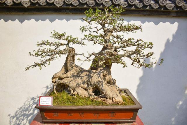 十大外围足球平台app